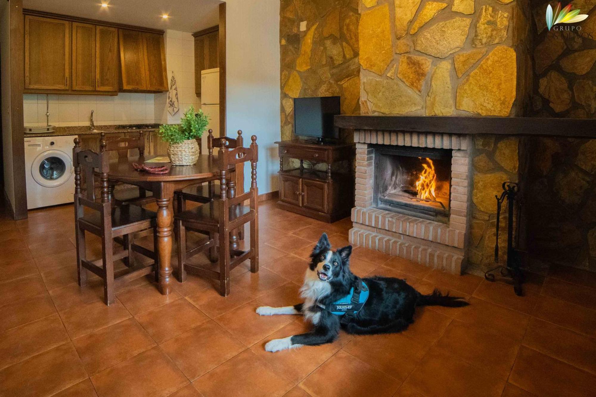 Apartamentos Los Olivos الكالا ديل جوكار المظهر الخارجي الصورة